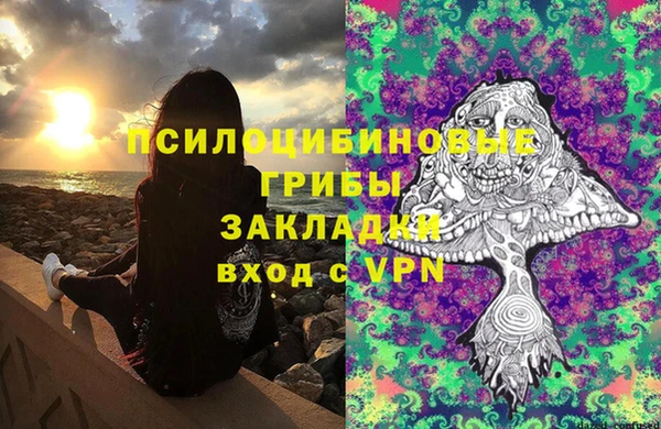 гашик Майский