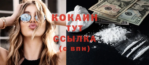гашик Майский
