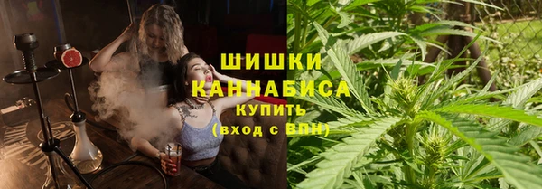гашик Майский