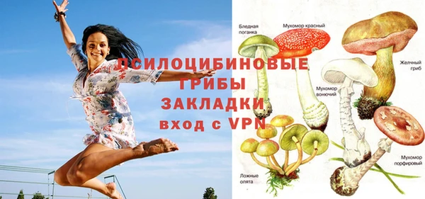 гидропоника Белоозёрский