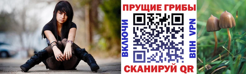Псилоцибиновые грибы прущие грибы Белокуриха