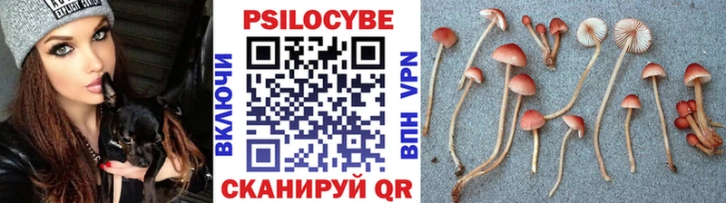 где купить наркотик  Белокуриха  Псилоцибиновые грибы MAGIC MUSHROOMS 